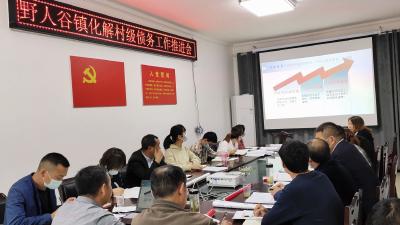 野人谷镇召开村级债务化解工作推进会