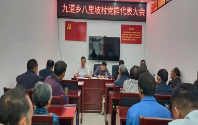 九道乡八里坡村：召开党员、村民代表大会