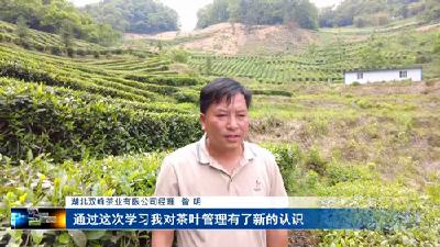 房县邀请外地农技专家指导茶农科学种茶制茶