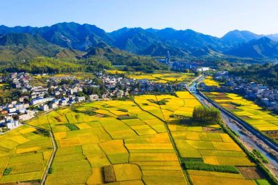 房县红十字会救护员公益培训班招募学员啦