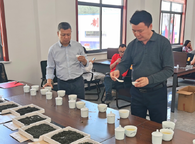 房县农业农村局在窑淮镇开展2021年首届茶叶品鉴会