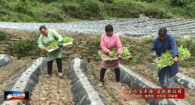 房县新闻20210513