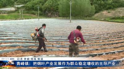 青峰镇：把烟叶产业发展作为群众稳定增收的主导产业