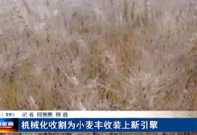 机械化收割为小麦丰收装上新引擎
