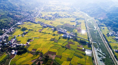 房县2021年度少先队工作推进会召开