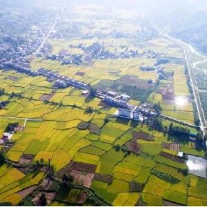 房县举办离退休干部党组织书记培训