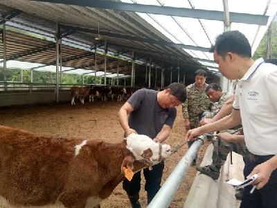 县畜牧兽医服务中心开展“我为群众办实事”实践纪实