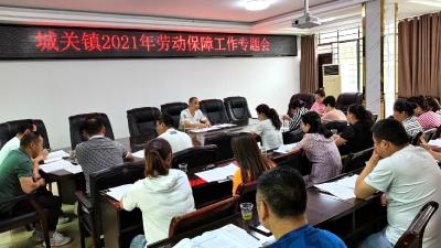 城关镇人社中心：大力推进劳动保障工作