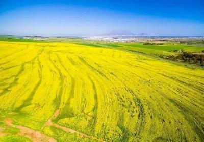 沙河乡“三举措”保障2021年耕地地力保护补贴发放工作