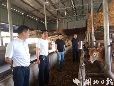 房县畜牧兽医服务中心将群众“呼声”变“掌声”