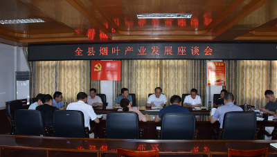 丁杰到东部乡镇调研烟叶产业发展
