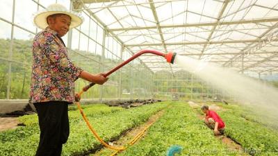 湖北房县：节水蔬菜敲开农民增收“大门”