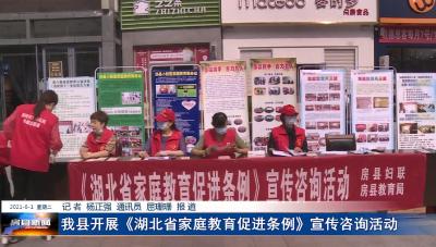 我县开展《湖北省家庭教育促进条例》宣传咨询活动
