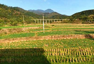 白鹤镇财政所:“三举措”抓好耕地地力保护补贴发放工作