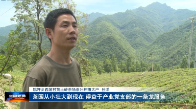 《党旗飘飘》姚坪乡党委：赓续“姚坪精神” 建设美丽水乡