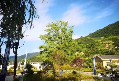 我县安排部署乡镇环保督察反馈问题整改工作