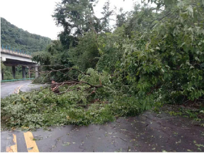 土城镇穿山堰村遭狂风暴雨袭击