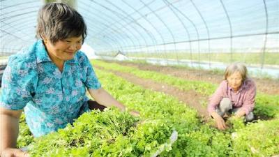 房县留守妇女家门口就业
