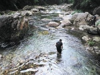 “华中第一大峡谷”房县阴峪河：藏有玉石的神秘河流