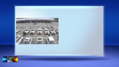 产业协作“东风县”累计销售汽车1200辆