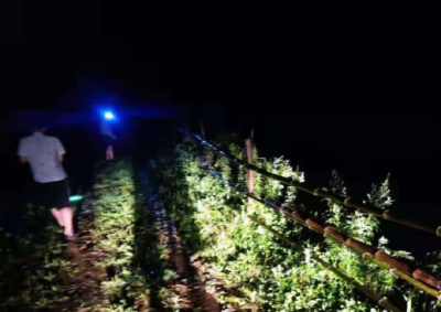 窑淮镇：防汛工作刻不容缓，百姓安全牢记心中