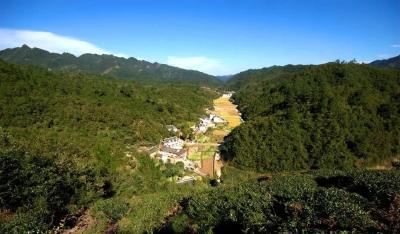 全市优化政务环境第二季度拉练现场会在我县召开