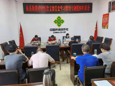 房县供销社：开展“学党史改作风促工作提质增效”专题组织生活会