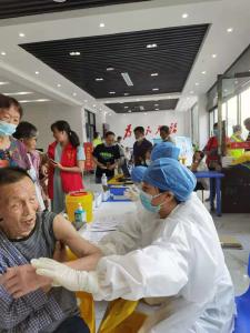 房县县委宣传部:“上门送苗”显担当