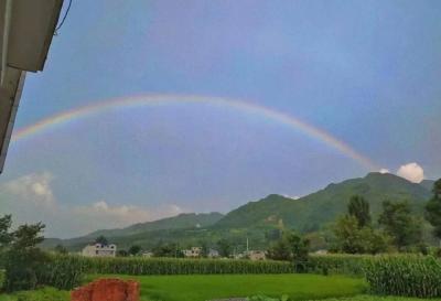 【党旗飘飘】老人坪村：支部引领兴产业 集体增收带民富