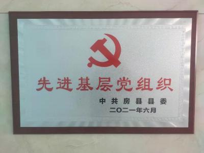 房县行政审批局机关党支部荣获全县“先进基层党组织”荣誉称号