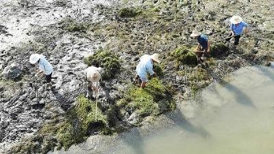 房县：“民间卫士”管护河床