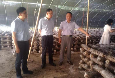 省供销社在房县调研深化改革工作