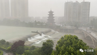 “钓鱼哥”突遇河水上涨被困 军店镇多方合力紧急救援