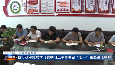 县行政审批局组织学习习近平总书记“七一”重要讲话精神