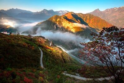 房县上半年新增市场主体1350户