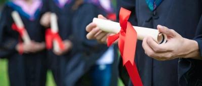 本科普通批和艺术本科B征集志愿