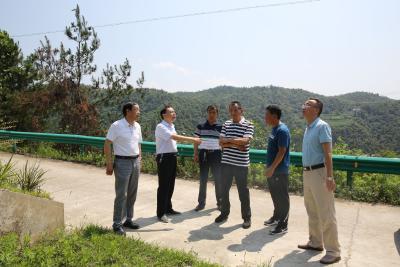 县人大机关党组到三棵树村开展“我为群众办实事”实践活动