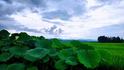 雨季出游，十堰市文旅局这份提醒一定要看！