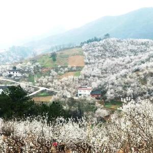 湖北本科普通批录取投档线公布 驻堰5所高校投档线看这里