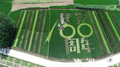 房县城关镇稻禾绣图庆祝党的生日