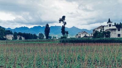 市人行开启红塔驻村工作新起点