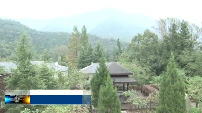 我县两家苗木生产经营单位入选全国首批苗木信息采集点