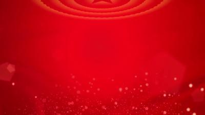 《党旗飘飘》段全冰: 举起一面旗 带富一个村