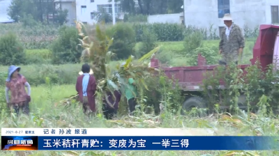 玉米秸秆青贮：变废为宝  一举三得