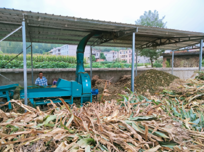 房县畜牧兽医服务中心：让玉米秸秆“变废为宝”