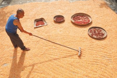 丰收时节晒丰收