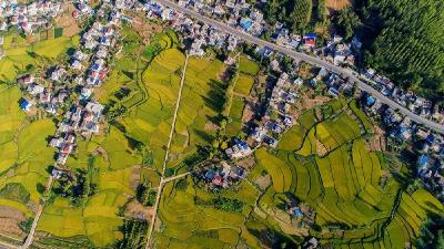 土城镇切实做好惠农补贴发放工作