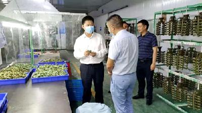 纪道清调研企业生产 鼓励企业创新实干稳步发展