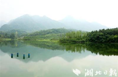 房县特色合作社助力产业振兴