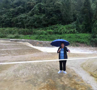 白鹤镇“以雨为令”，让党旗高高飘扬在防汛救灾第一线